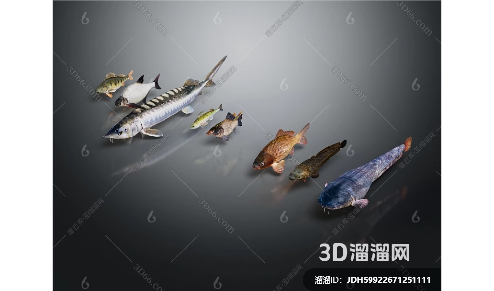 现代 鱼 鲇鱼 鲶鱼 鲤鱼3D模型.jpg